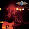 Peter Maffay - Und Es War Sommer