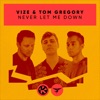 VIZE, Tom Gregory - Never Let Me Down